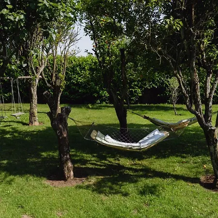 With Private Pool And Garden By Go2oporto * Terroso